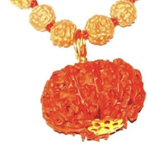 10 Faced Original Nepali Abhimantrit Rudraksha