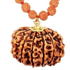 11 Faced Original Nepali Abhimantrit Rudraksha