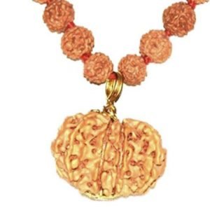 12 Faced Original Nepali Abhimantrit Rudraksha