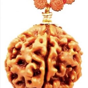 6 Faced Original Nepali Abhimantrit Rudraksha