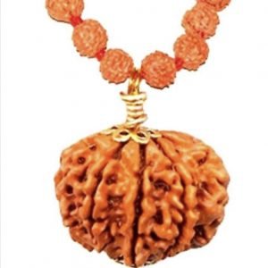 7 Faced Original Nepali Abhimantrit Rudraksha