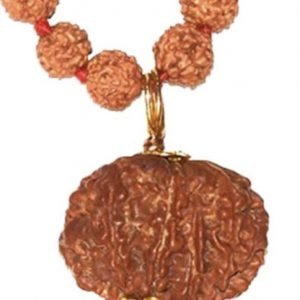 8 Faced Original Nepali Abhimantrit Rudraksha