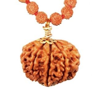 9 Faced Original Nepali Abhimantrit Rudraksha