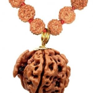 Ganesha Faced Original Nepali Abhimantrit Rudraksha