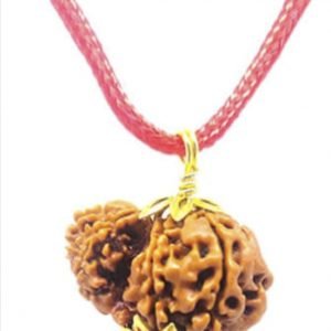Garbh Gauri Faced Original Nepali Abhimantrit Rudraksha