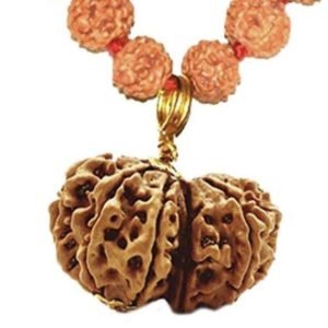 Gauri Shankar Original Nepali Abhimantrit Rudraksha